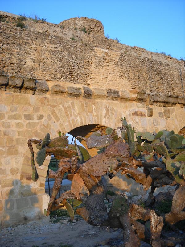 Carthage - Oued Milliane Tunisie 2009 Nikon 044.jpg